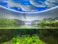 -江和美海洋公园