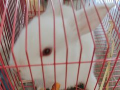 -长春净月潭喜来登酒店·盛宴标帜餐厅