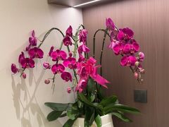 -常鲜楼常来尝鲜海胆馆(星海店)