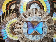 -上海昆虫博物馆