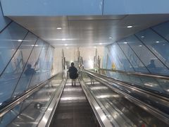 -大龙山(地铁站)