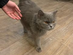 -塔拉苏咖啡(中信丹阳花园店)