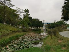 -东莞植物园