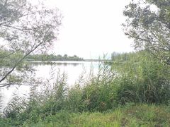 -野鸭湖国家湿地公园