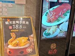 -稻香酒家·34年老字号·港式粤菜(侨光店)