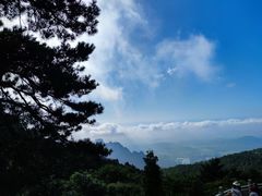 -庐山恋影院(河西路店)