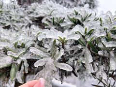 -永州阳明山国家森林公园