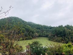 -广州白江湖森林公园