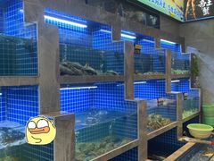 -浙C老邻舍(西城海错店)