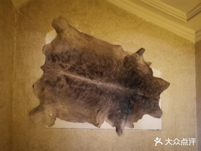 丝路天山酒店(国际大巴扎店)图片