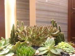 -臻萃轩中餐厅(国家会展中心店)