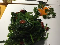 -素虎小呆鸟(西二旗店)