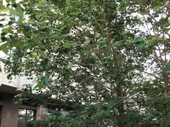 -青岛市图书馆