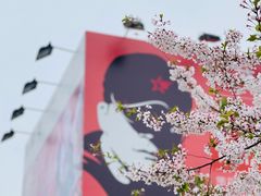 -龙美术馆(西岸馆)