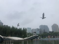 -团结湖公园