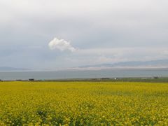 -青海湖国家重点风景名胜区