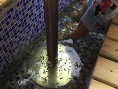 -丽池宫韩式汗蒸会馆(华灯坊店)