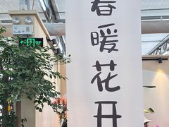-荷兰花海