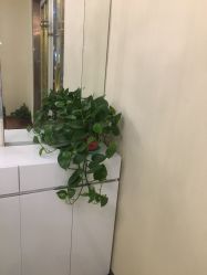 -Dr.林醫生产后修复·超级店(南京江宁同曦店)