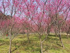 -福清灵石山国家森林公园