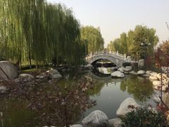 -西安青龙寺遗址景区