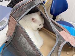 -芭比堂动物医院·CT·微创中心(新顺分院)