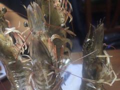 -东海怡品海鲜豆捞(星街坊店)