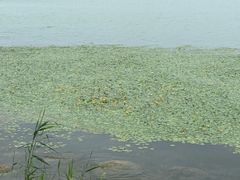 -苏州湾体育公园