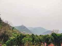 -莫干山风景区