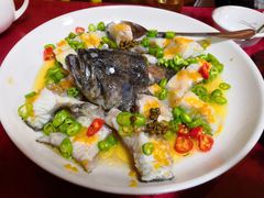 青青椒麻蒸鱼-舒味姜母鸭·沙茶面(湖里店)