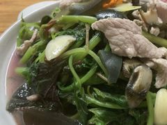 红苋菜-康乐餐馆(台山商业城D座商场店)