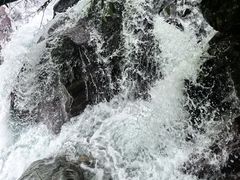 -石台牯牛降景区