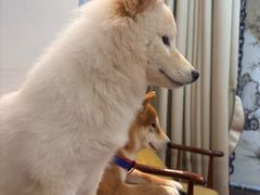 -伽利略剧本探案馆(国贸店)