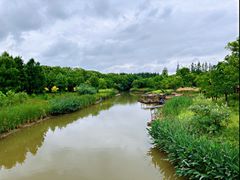 -上海长兴岛郊野公园