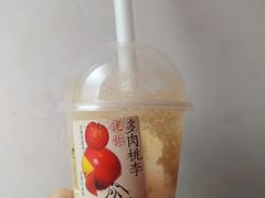 迷你多肉桃李-喜茶(佛山岭南站店)