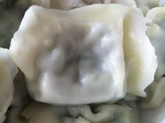 素什锦大馅水饺-老边饺子馆(东单店)