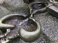-成都市活水公园