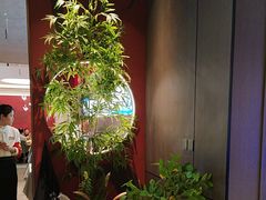 -7号院家宴.烧鸽子(门头沟店)