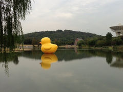 iphone_upload_pic-上海佘山茂御臻品之选酒店(原佘山艾美酒店)