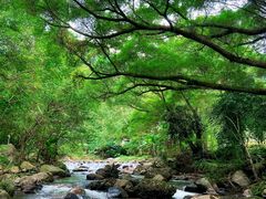 -广州市石门国家森林公园