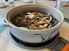 -爱膳菌锅锅(阳南店)