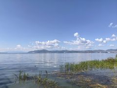 -洱海月湿地公园