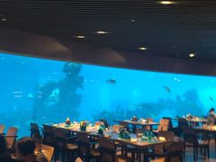 -海棠湾洲际-涛·海底餐厅·美人鱼·自助餐·海底隧道