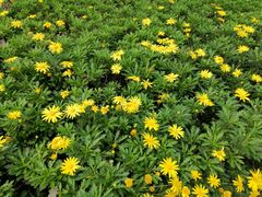 -仙海旅游度假区