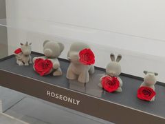 -ROSEONLY诺誓(广州K11店)