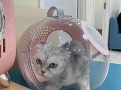 -美联众合动物医院·24h京西诊疗中心