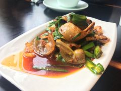 -陈麻婆豆腐总店