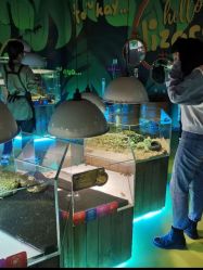 点击看大图 -七巧国萌宠乐园(龙湖天街店)
