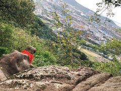 -灵岩山风景区