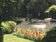 -墨尔本皇家植物园